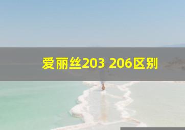 爱丽丝203 206区别